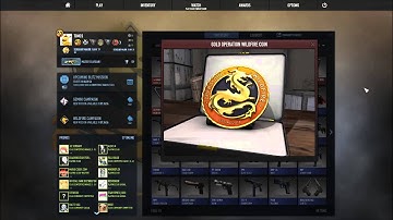 Gold Operation Wildfire Coin Showcase