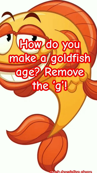 Fish Jokes! #fish #jokes #funny #thejokester