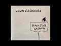 Sunflower Disco (2001) - Understatements
