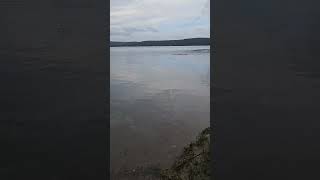 Lake Vistytis in south western Lithuania
