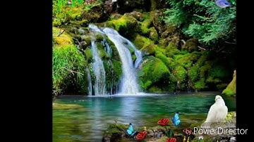 الرقية الشرعيه بصوت الشيخ ناصر القطامي