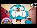 Gumball | Gumball and Darwin Can't Trust Anyone | Cartoon Network