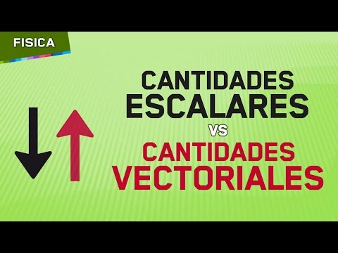 Vídeo: Diferencia Entre Cantidad Escalar Y Cantidad Vectorial