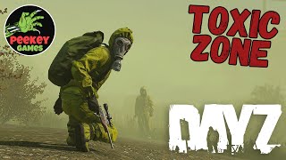 видео: DayZ   картинка: DayZ