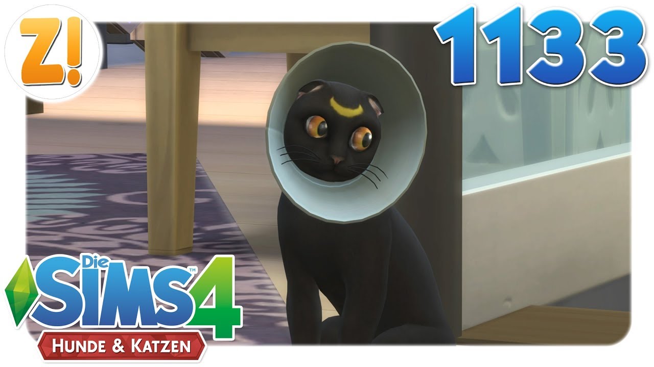 Sims 4 Hunde Katzen Pechvogel 1133 Lets Play Deutsch