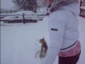 Playing with Marley in the Snow