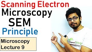 Scanning electron microscope principle working (SEM)