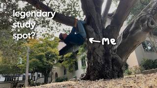 Finding the BEST place to study