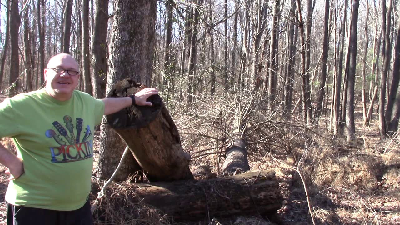 What Kind Of Car Did Jesus Drive Pirate Stu s Bootyful Joke Of The what-kind-of-car-did-jesus-drive-pirate-stu-s-bootyful-joke-of-the