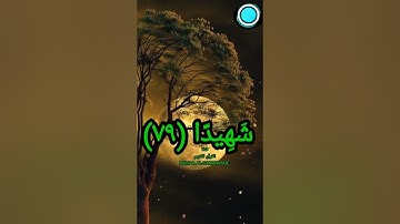 آيات من سورة النساء ٧٩-٨٠.