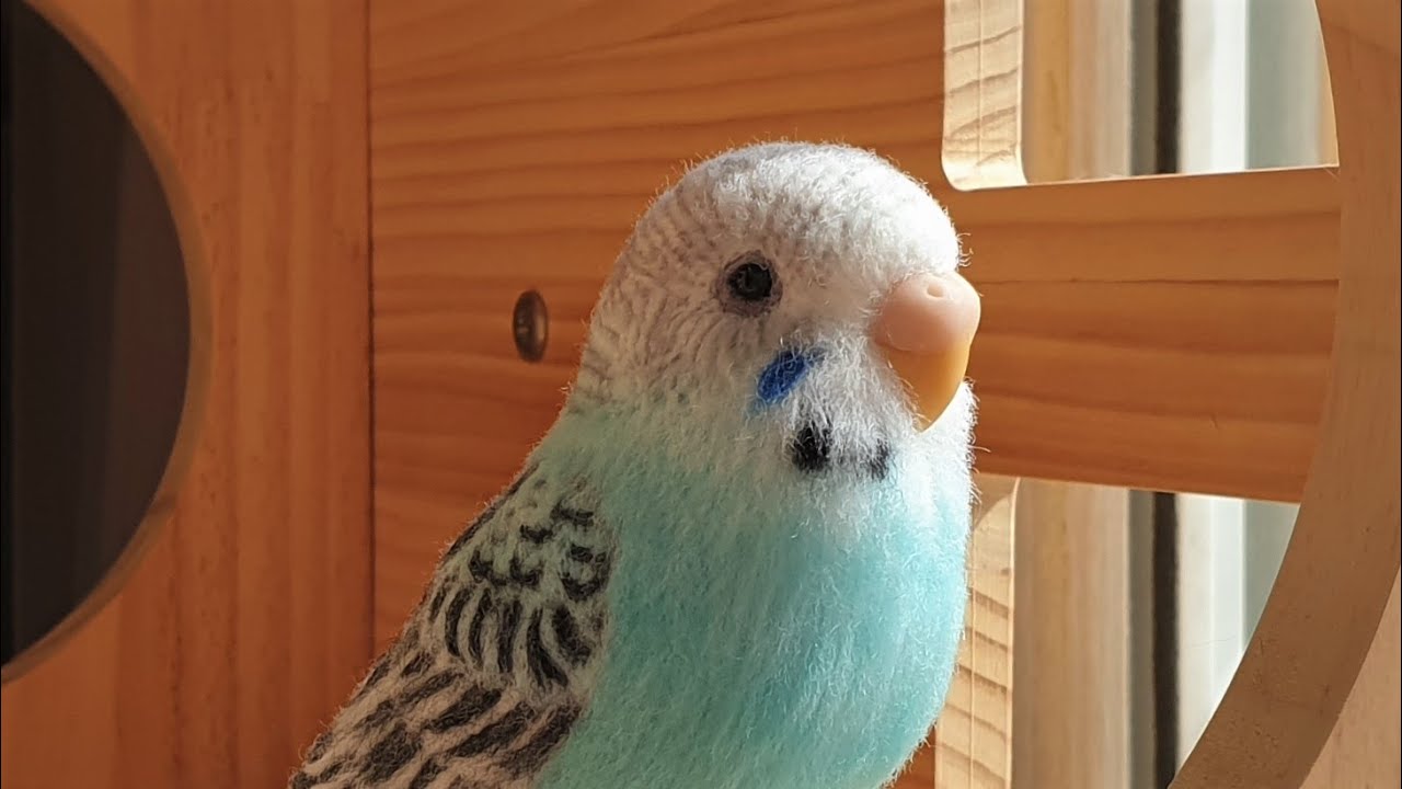 Needle Felt Bird Tutorial 사랑앵무 만들기!