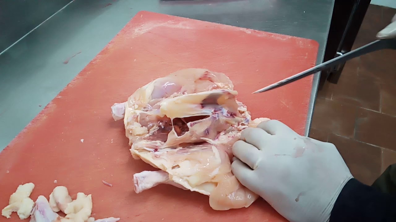 طريقه خلى الفراخ سهل وسريع