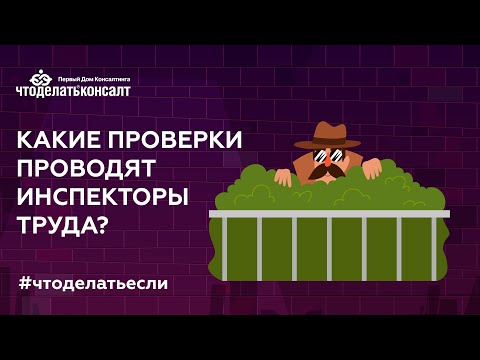 Какие проверки проводят инспекторы труда?