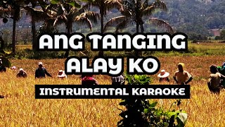 Ang Tanging Alay Ko Lyrics l Instrumental Karaoke l Electric Guitar 🎸🎸