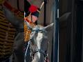 KING S GUARD ASKS POLICE FOR HELP Horse Guards Royal Guard Kings Guard Horse London 2025 KING S GUARD ASKS POLICE FOR HELP Horse Guards Royal Guard Kings Guard Horse London 2025