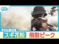 診察待ちの行列も…スギ花粉の飛散ピーク今年は違う注意も必要に【ぎゅっと】(2026年2月25日OA)