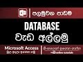Microsoft Access Beginner Course (Sinhala) - Part 01 - Getting Started with Access