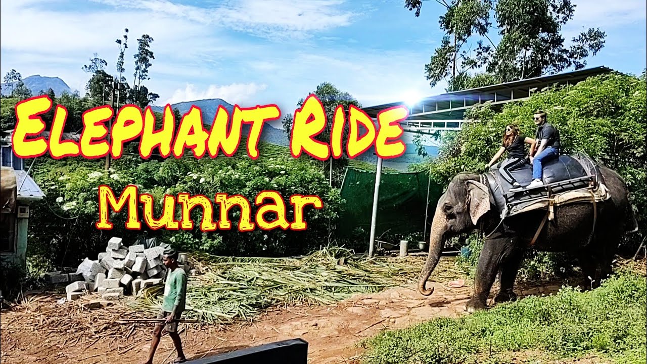 Elephant Safari Ride Munnar Carmelagiri Elephant Park Munnar Complete