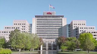 FDA delay's Eli Lilly's experimental Alzheimer's drug