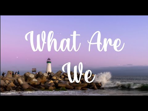 What Are We - mrld (lyrics) | MALyrics
