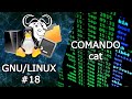 Comando CAT | 💻 Curso de GNULINUX de CERO a AVANZADO 👨‍💻| Cap. 18