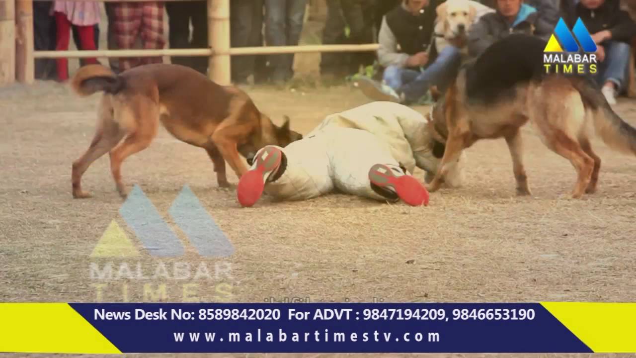 MALABAR TIMES JANAM PRATHIKARIKUNNU