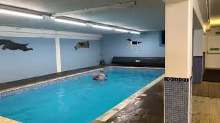 Ruby’s First Swimming Lesson (pt 2)