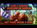 daikon plant Japanese Minowase Daikon Radish Seeds for Planting, 100+ Heirloom Seeds Per Packet Non GMO Seeds, Botanical Name Raphanus sativus, 90% Germination main image 1