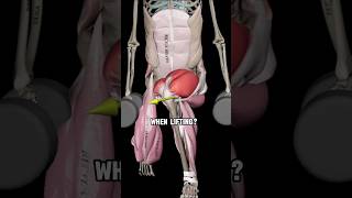 The Reason Your Squats Feels Terrible