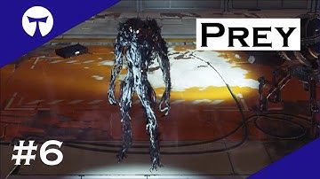 Exploring the Hardware Labs - Let