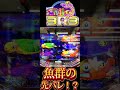 【PA海物語3R3】魚群の先バレが！？ #shorts