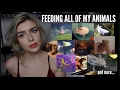 FEEDING ALL OF MY ANIMALS (Yes, I Do This Every Day)