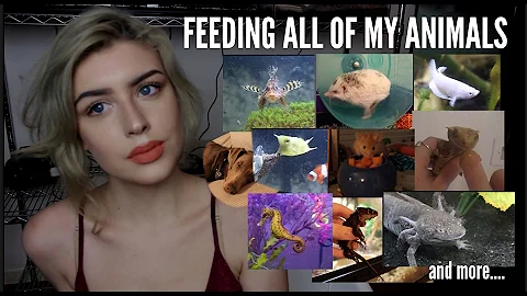 FEEDING ALL OF MY ANIMALS (Yes, I Do This Every Day)