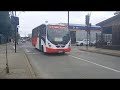 Micros varias Osorno