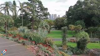 Royal Botanical Garden Melbourne