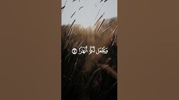 سورة نوح #quran #qurantilawat #القرآن_الكريم. #قرآن #قران_كريم #islam #islamic