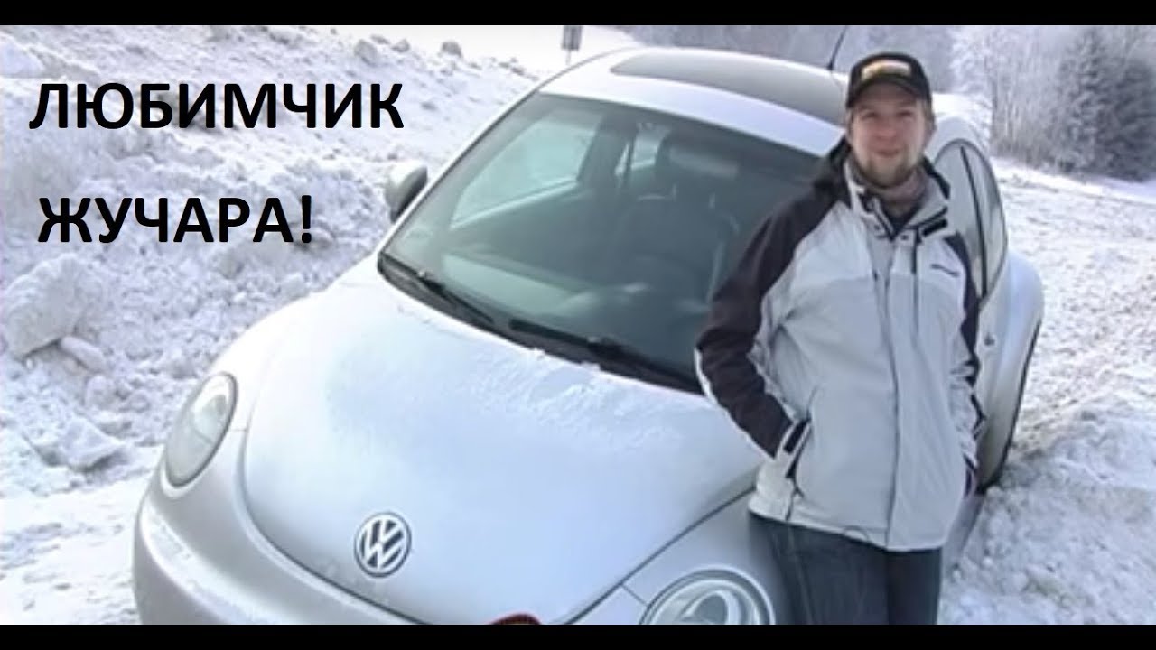 Жуки ауди текст
