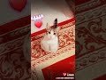 احل هرا