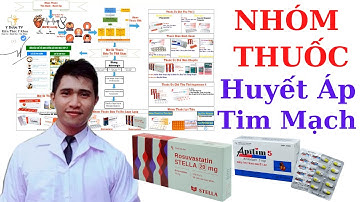Nhóm Thuốc Tăng Huyết Áp - Tim Mạch - Mỡ Máu - Suy Tim | Dược Lý | Y Dược TV