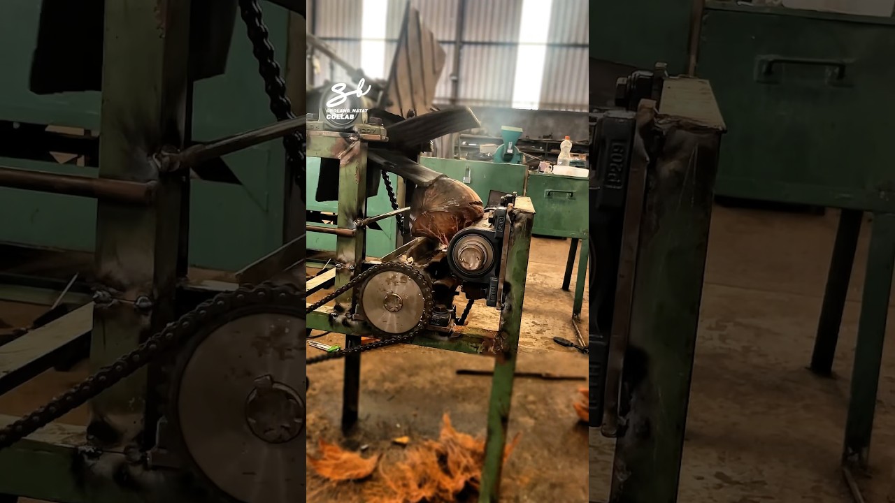 Coconut Peeling Machine! 🥥 