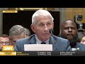 Fauci invoked the Fifth. Republicans aren’t letting it end there