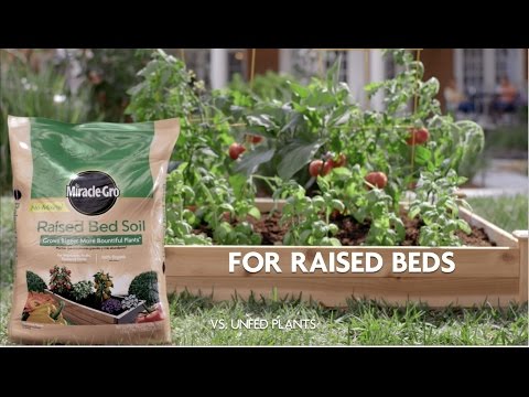 How To Use Miracle Gro Raised Bed Garden Soil Youtube