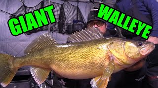 Biggest Walleye I have EVER caught on Camera! | Big Walleye Slay Day!