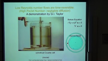 RANDOM ORGANIZATION, HYPERUNIFORMITY AND PHOTONIC BANDGAPS by Prof.  Paul Chaikin