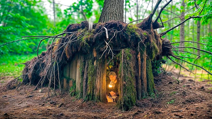 Building a Сozy Shelter Under an Oak Root. Survival, Bushcraft thumbnail