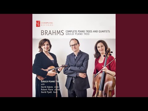Trio in A Minor, for Piano, Clarinet and Cello Op. 114: III. Andante grazioso
