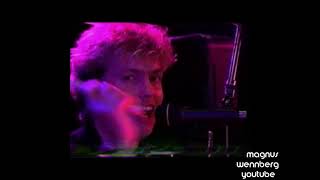 Looky Looky, Arvingarna