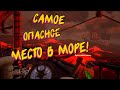 ПОГОНЯ ЗАВЕЛА НАС В КРАСНЫЕ ВОДЫ! 😵 - Sea of Thieves (самое ОПАСНОЕ место в море воров!)