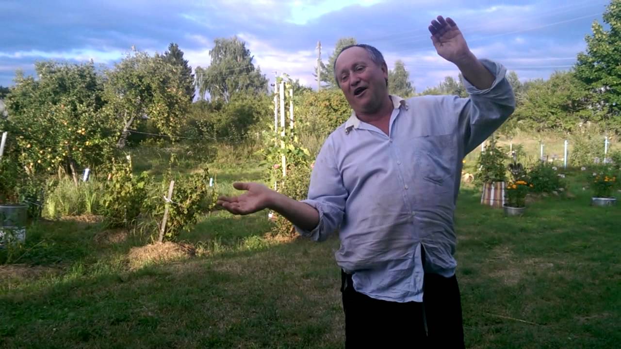 Internet Star. Я хочу в интернет 2