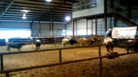 Ranch hand sorting jan 2010